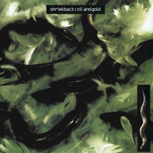 Cover of Oil and Gold by Shriekback