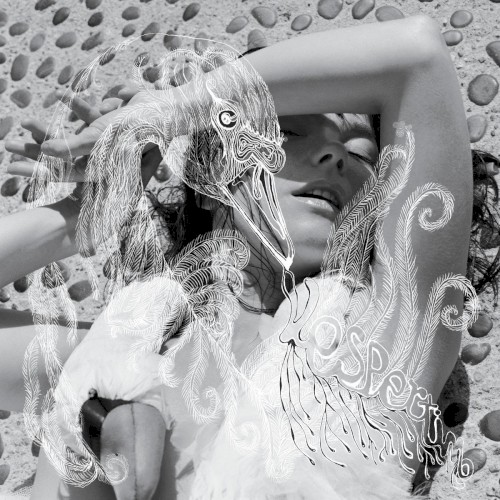 Cover of Vespertine by Björk