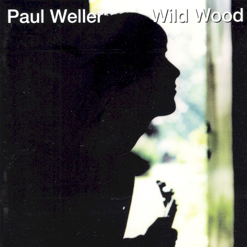 Cover of Wild Wood by Paul Weller