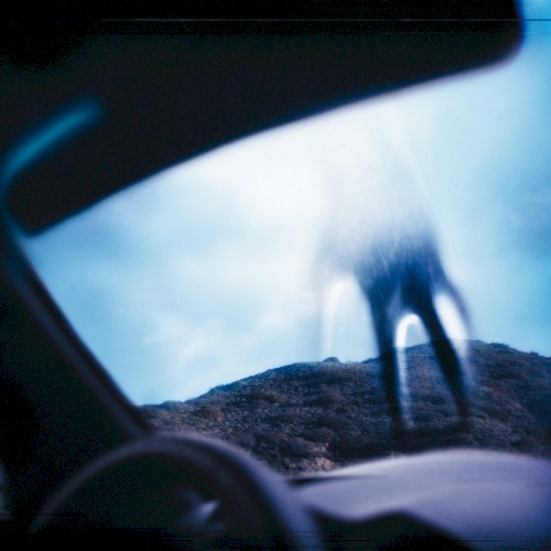 Cover of Year Zero by Nine Inch Nails