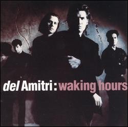 Cover of Waking Hours by Del Amitri