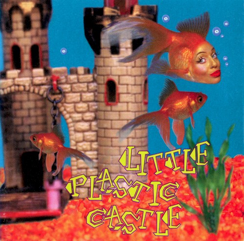 Cover of Little Plastic Castle by Ani DiFranco