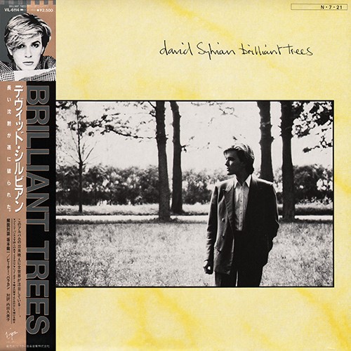 Cover of Brilliant Trees by David Sylvian