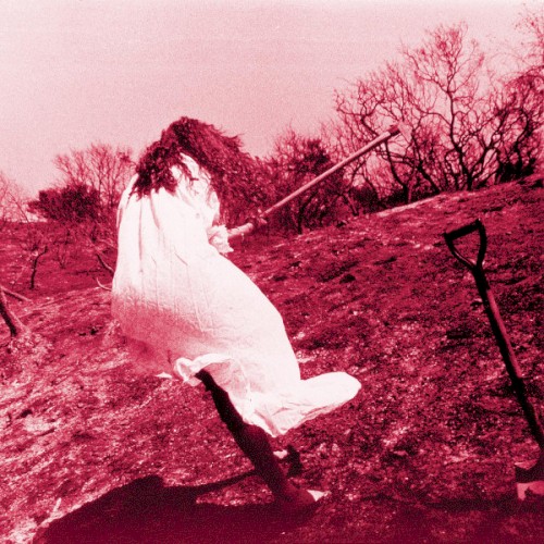 Cover of Dig by Adam Again