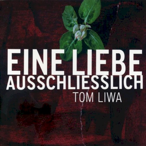 Cover of Eine Liebe ausschließlich by Tom Liwa
