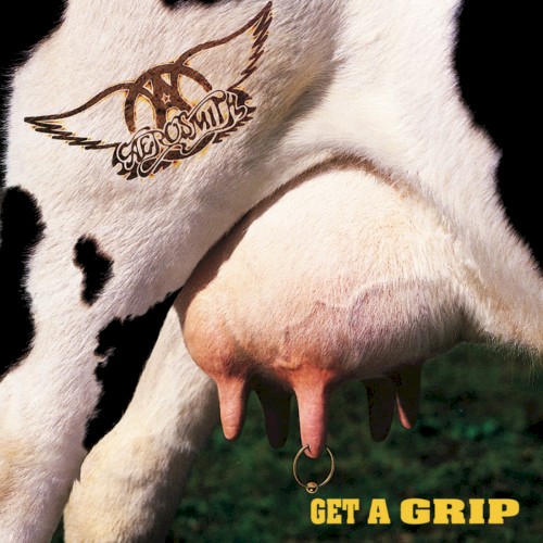 Cover of Get a Grip by Aerosmith