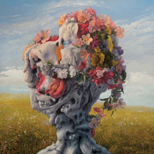 Cover of Veil of Imagination by Wilderun