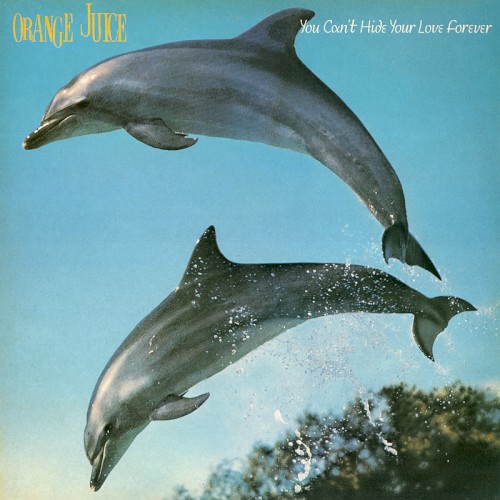 Cover of You Can’t Hide Your Love Forever by Orange Juice