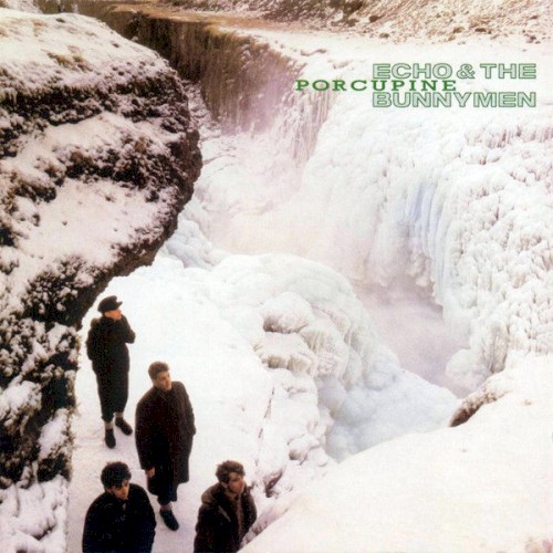 Cover of Porcupine by Echo & the Bunnymen