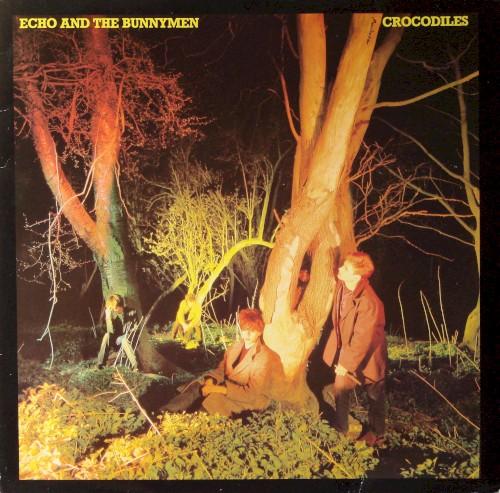 Cover of Crocodiles by Echo and the Bunnymen