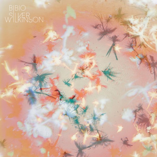 Cover of Silver Wilkinson by Bibio