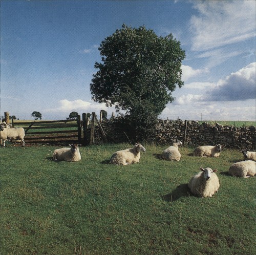 Cover of Chill Out by The KLF