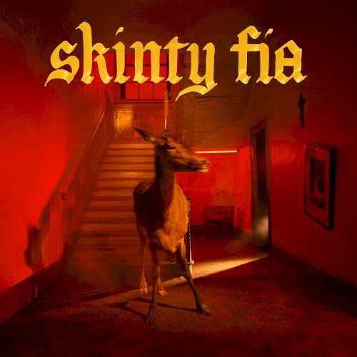 Cover of Skinty Fia by Fontaines D.C.