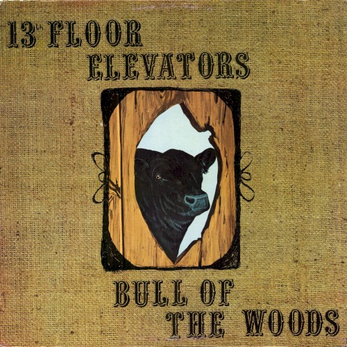 Cover of Bull of the Woods by 13th Floor Elevators