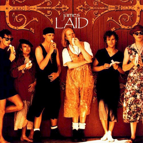 Cover of Laid by James