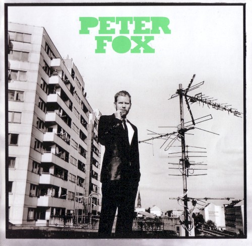 Cover of Stadtaffe by Peter Fox