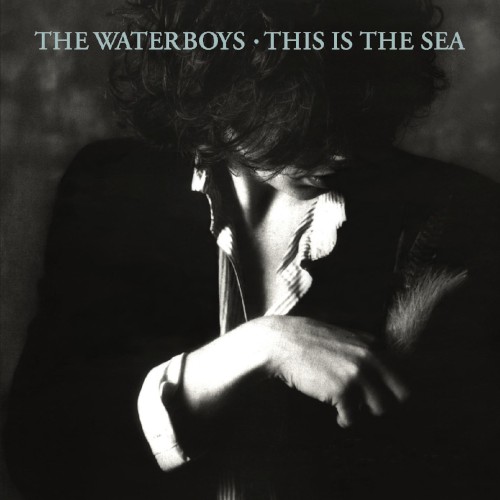 Cover of This Is the Sea by The Waterboys