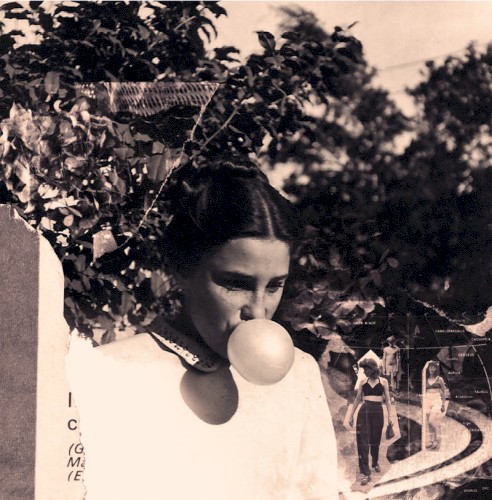 Cover of Eight Houses by She Keeps Bees